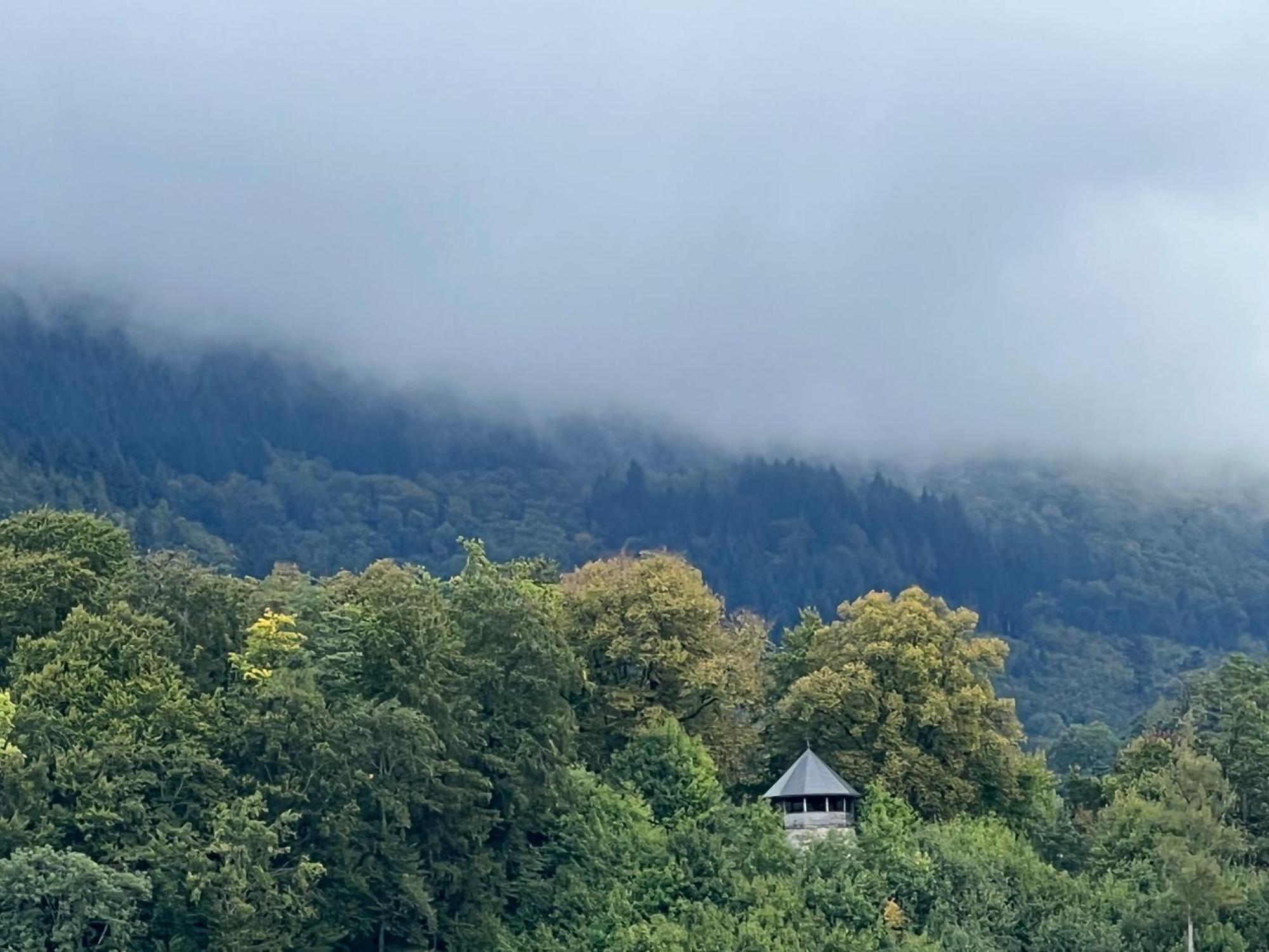 Schloessleblick Appartement Wehr  Buitenkant foto