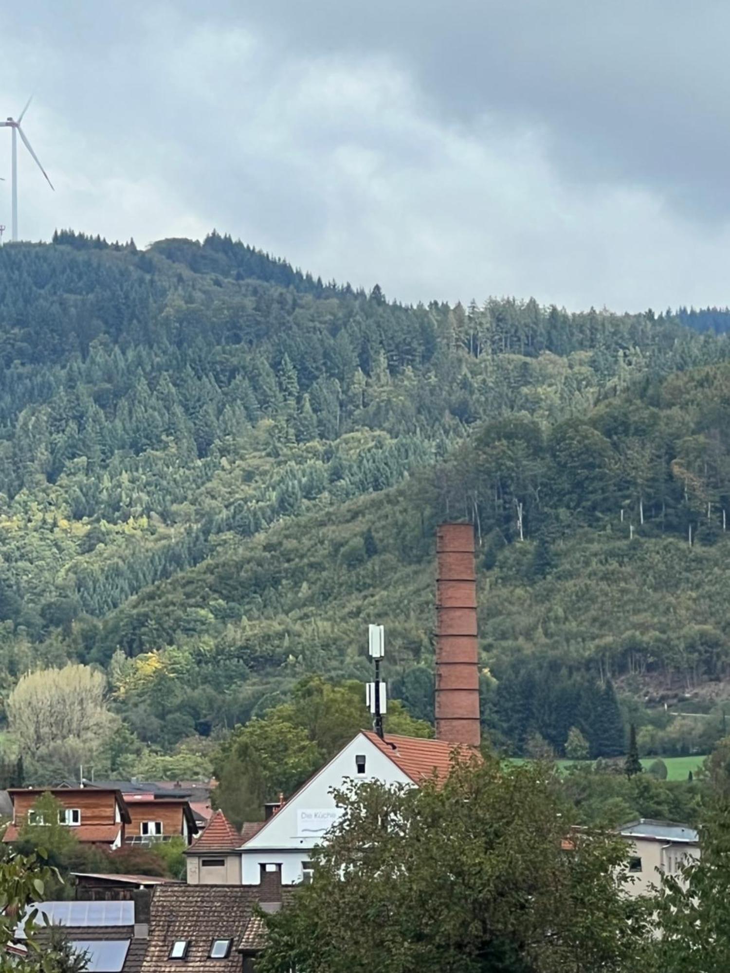 Schloessleblick Appartement Wehr  Buitenkant foto